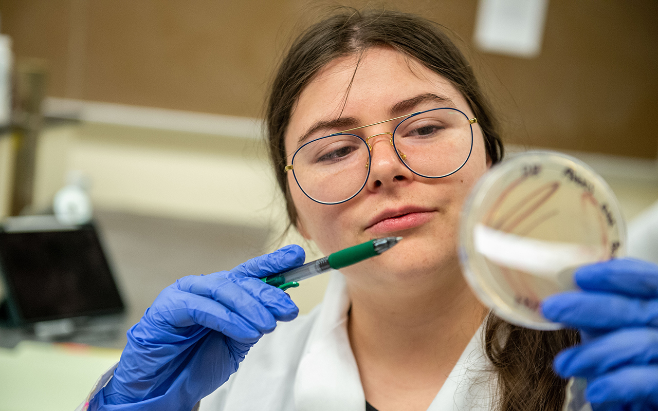 SIU Microbiology student in lab