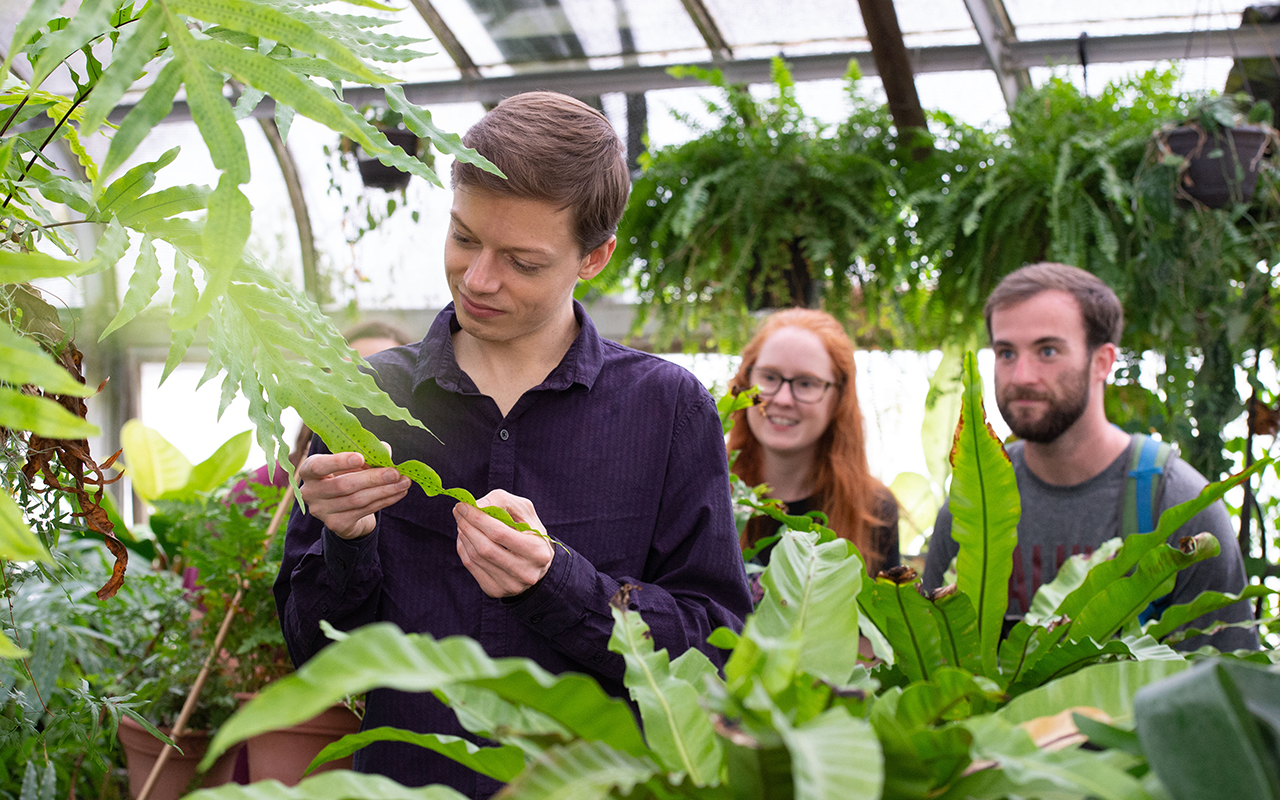 Plant Biology students examine plant leaves in class